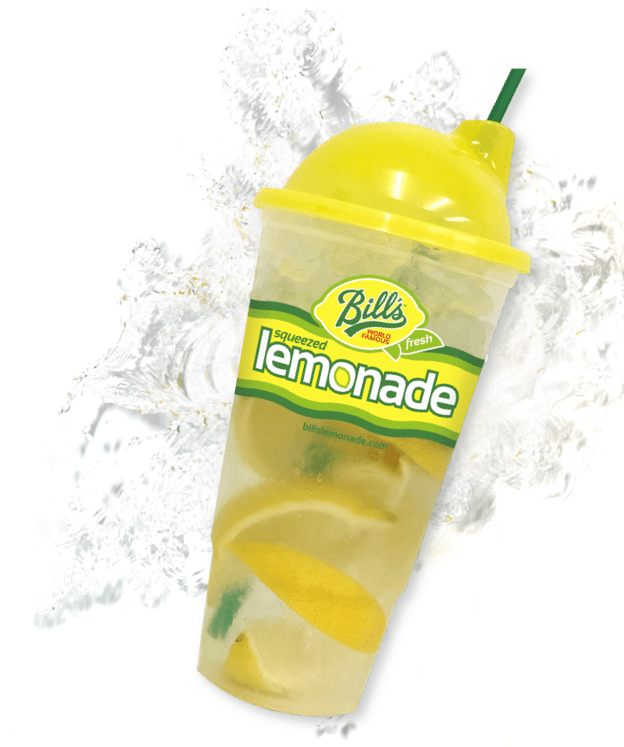 Fresh Lemonade Program Bill's Lemonade